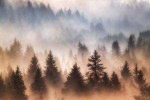 fotokurz šumava 6/2023
